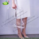 TÚI TRONG HÀN QUỐC