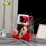 TÚI XÁCH HỘP THỜI TRANG