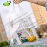 túi xách trong pvc sành điệu