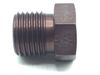MS21913W6, Plug