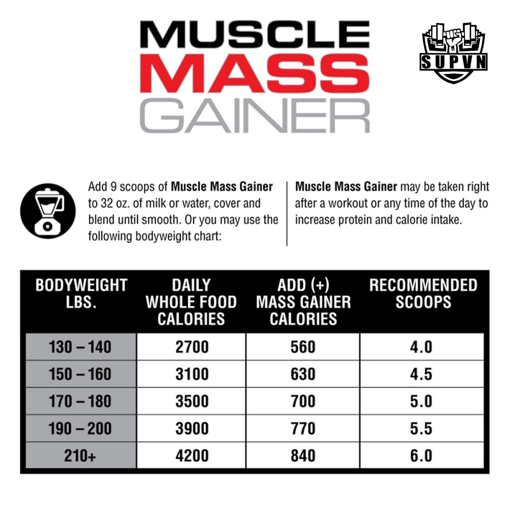 Muscle Mass Gainer Labrada 12lbs