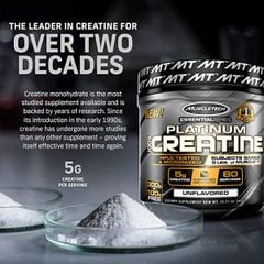 Platinum Creatine 80 Servings