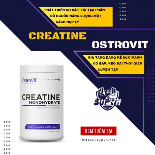 Creatine Ostrovit 500g