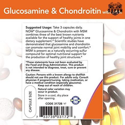 NOW Glucosamine & Chondroitin with MSM