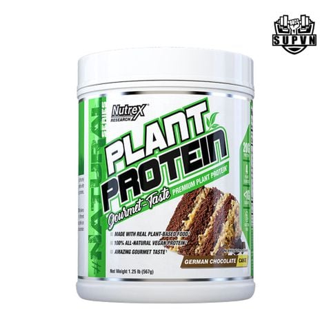 Plant Protein