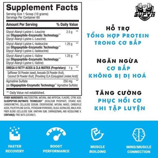 Best BCAA 60 Servings