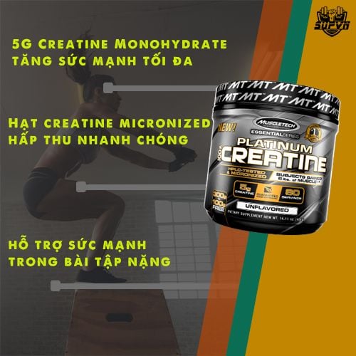 Platinum Creatine 80 Servings