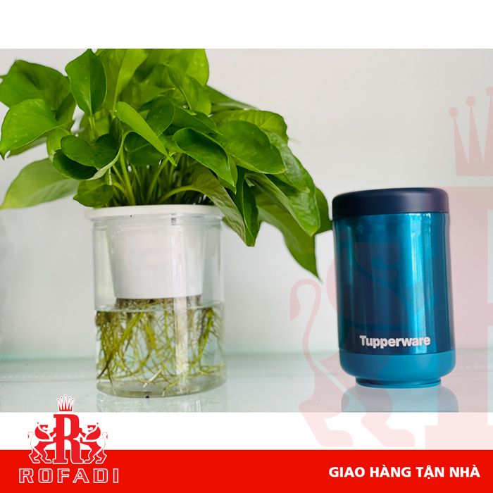 Hộp giữ nhiệt Stacking Thermal 350ml