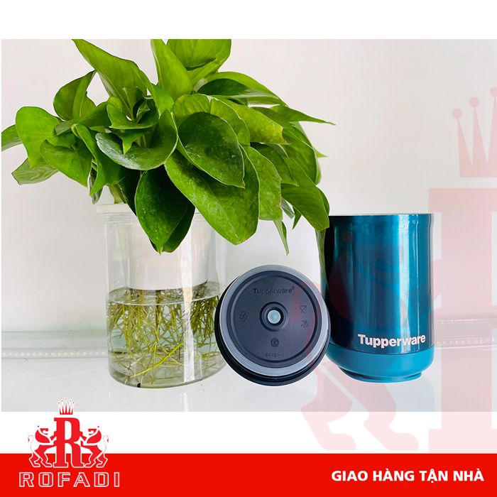 Hộp giữ nhiệt Stacking Thermal 350ml