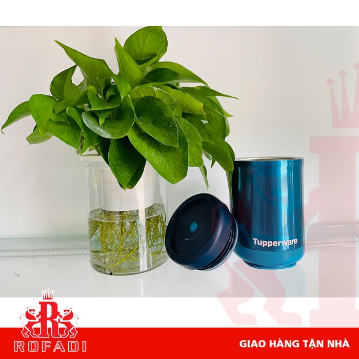 Hộp giữ nhiệt Stacking Thermal 350ml
