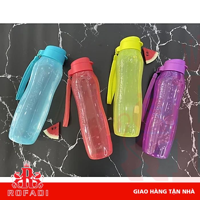 Bình Eco Bottle Gen II 1L