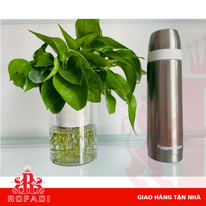 Bình giữ nhiệt Tupperware Thermos Sparkling 500ml