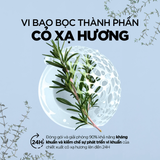  Dung Dịch Vệ Sinh ROGÉ CAVAILLÈS Anti-Bacterien | Ngăn Mùi Ngừa Khuẩn 12H, Chống Viêm, Bảo Vệ Toàn Diện 250ml 