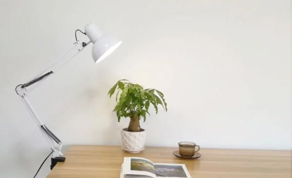 Đèn kẹp [DK-0238]