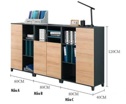 Tủ tài liệu văn phòng hiện đại [TTL-1198]