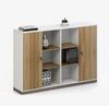 Tủ tài liệu văn phòng hiện đại [TTL-1173]