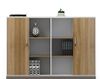Tủ tài liệu văn phòng hiện đại [TTL-1173]