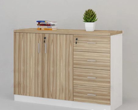 Tủ tài liệu văn phòng hiện đại [TTL-1176]