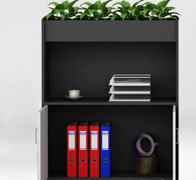 Tủ tài liệu văn phòng hiện đại [TTL-1164]