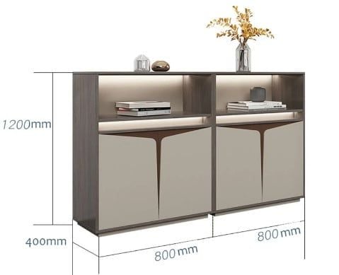 Tủ tài liệu văn phòng hiện đại [TTL-1163]
