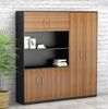Tủ tài liệu văn phòng hiện đại [TTL-1158]