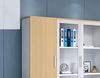 Tủ tài liệu văn phòng hiện đại [TTL-1168]