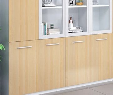 Tủ tài liệu văn phòng hiện đại [TTL-1168]