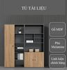 Tủ tài liệu văn phòng hiện đại [TTL-1149]