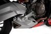 Aprilia RS 660