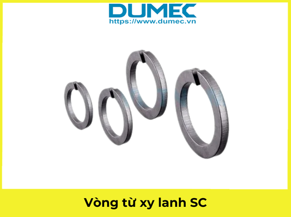  Vòng từ xy lanh SC 