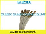  Dây dẫn dầu thông minh ( có săn phao, đầu lọc ) - Lọc dầu vòi phun dầu 