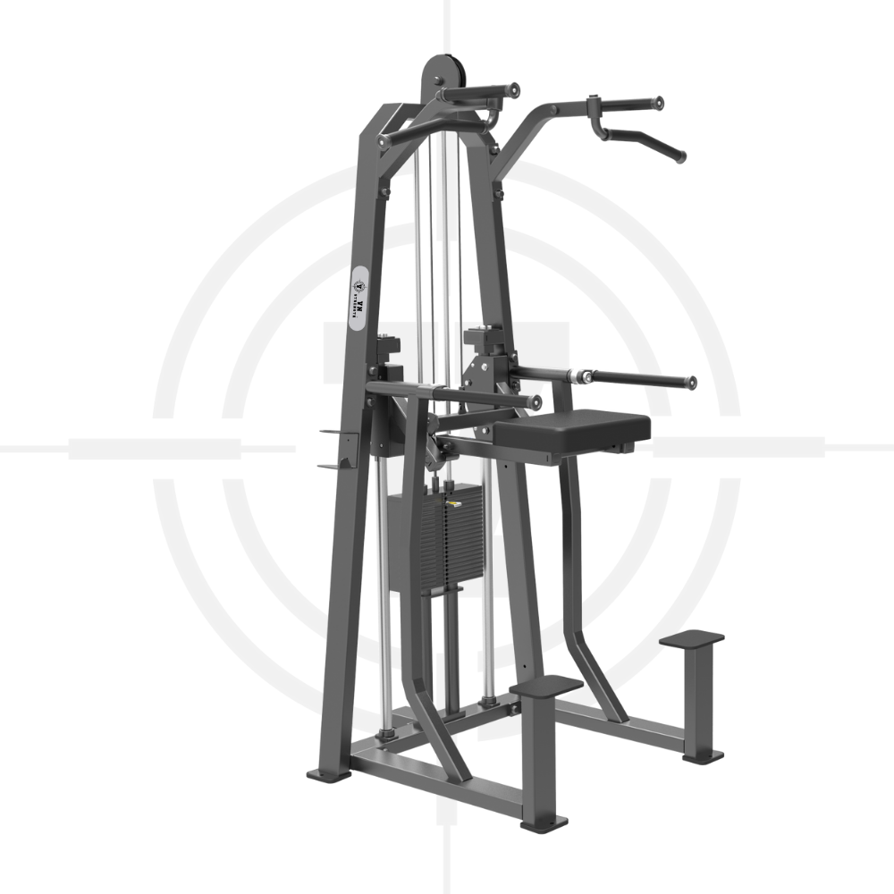 Máy Kéo Lưng, Tay Sau︱Dip/Chin Assist︱Ica 110