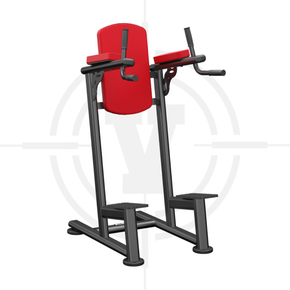 Ghế Gập Bụng, Tay Sau︱Standing Leg Raise︱Atl 243