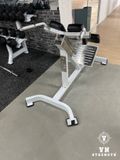 GHẾ LƯNG DƯỚI ∣ BACK EXTENSION ∣ HAM 103