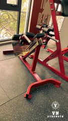 GHẾ LƯNG DƯỚI︱BACK EXTENSION︱HAM 103