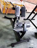 GHẾ LƯNG DƯỚI ∣ BACK EXTENSION ∣ HAM 103