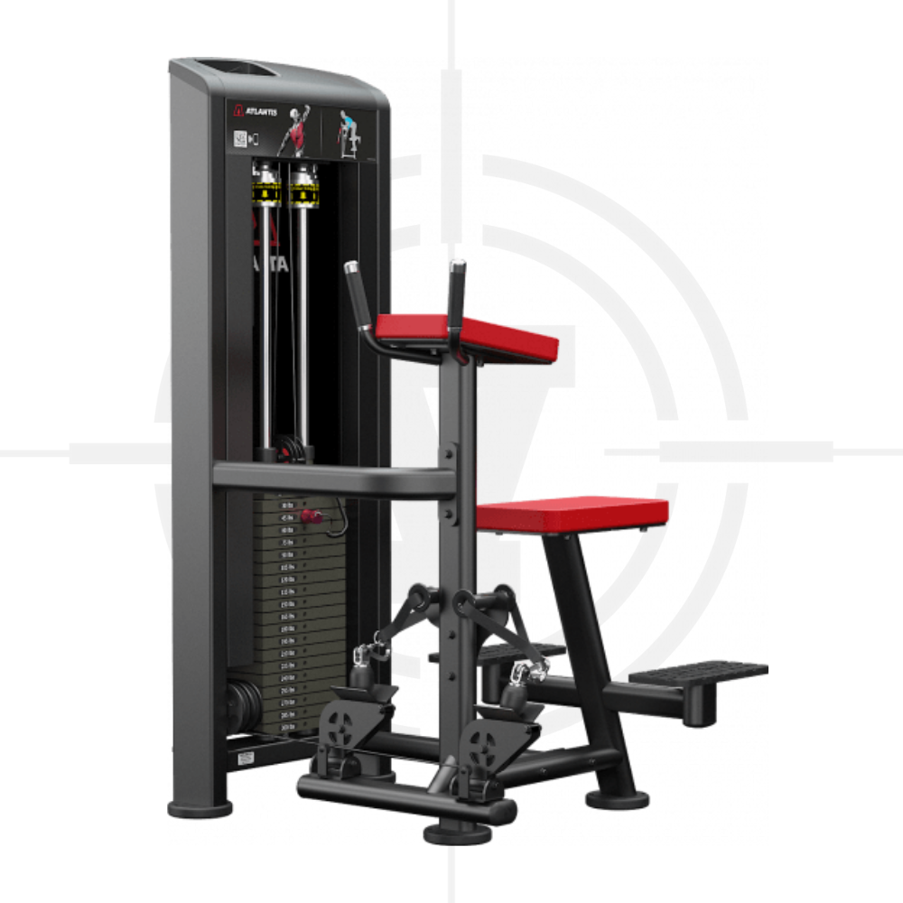 Máy Kéo Lưng Ngang︱Vertical Row︱Atl 124