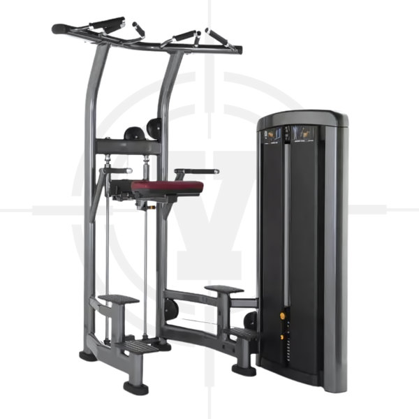 MÁY TẬP LƯNG, TAY SAU ∣ ASSIST DIP CHIN ∣ LIF 027