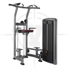 MÁY TẬP LƯNG, TAY SAU︱ASSIST DIP CHIN︱LIF 027