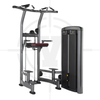 MÁY TẬP LƯNG, TAY SAU ∣ ASSIST DIP CHIN ∣ LIF 027