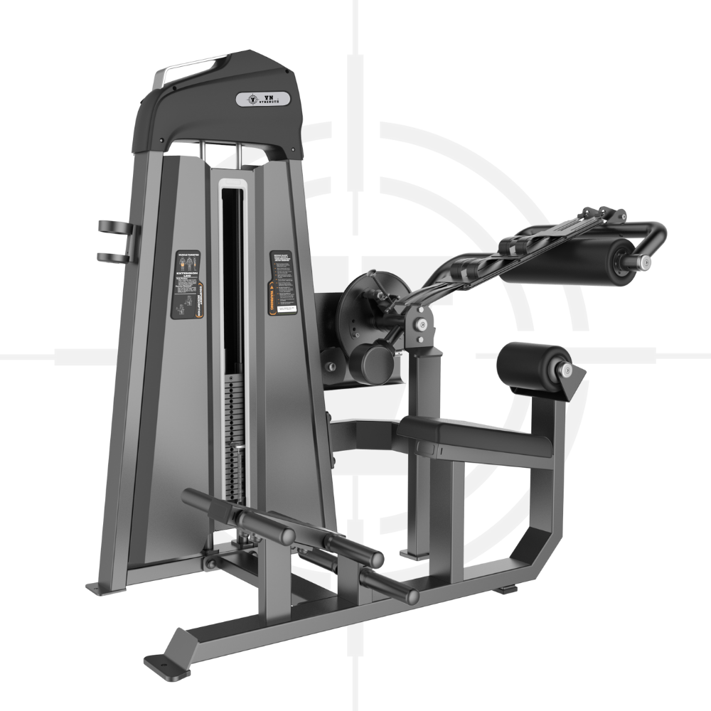 Máy Duỗi Lưng, Gập Bụng ∣ Abdominal  Back Extension ∣ Ica 131