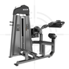 Máy Duỗi Lưng, Gập Bụng ∣ Abdominal  Back Extension ∣ Ica 131