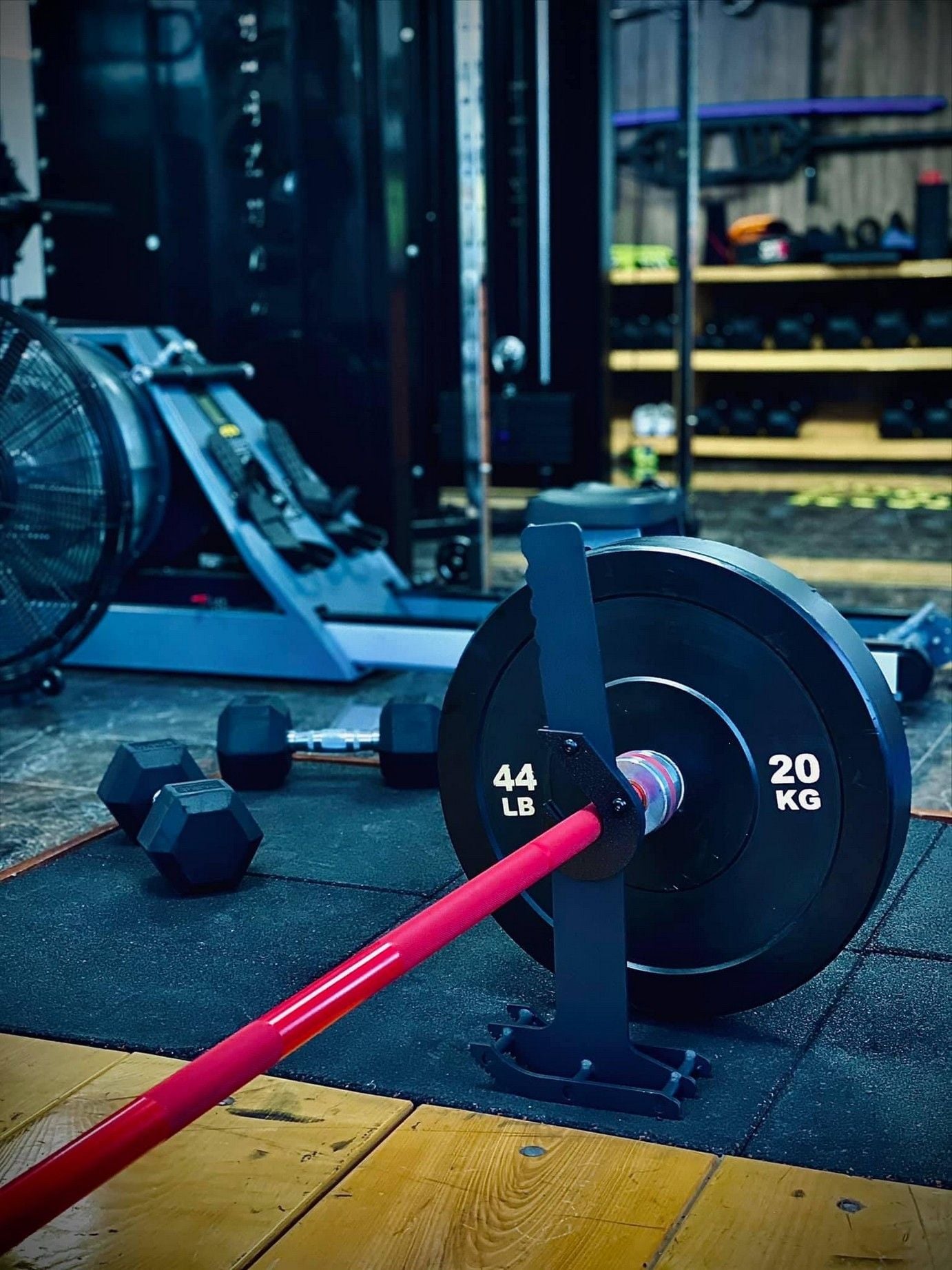 The VN-Strength™ TQT Power Bar︱Đòn Tạ︱DON 004