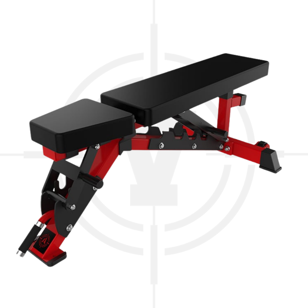 GHẾ THAY ĐỔI ĐỘ DỐC︱MULTI ADJUSTABLE BENCH-LADDER STYLE︱ARS 044