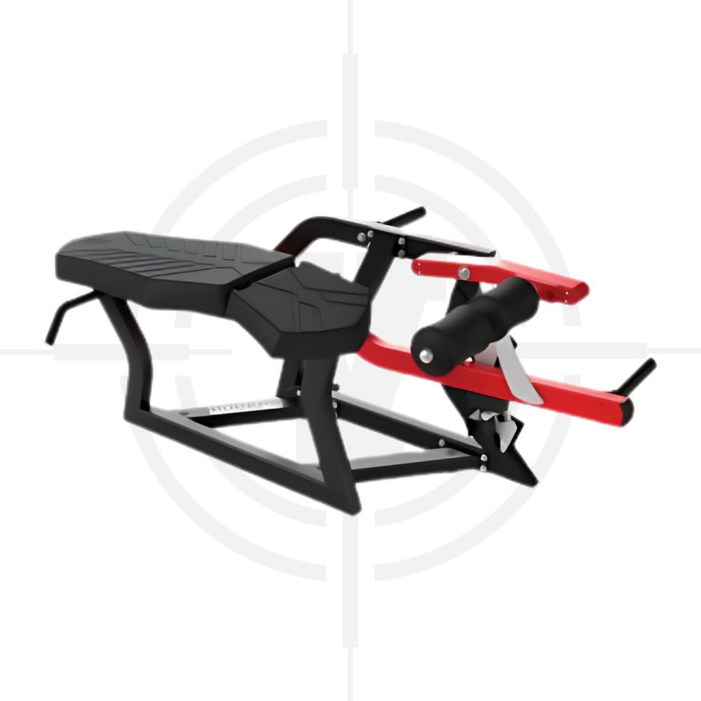 Máy Móc Chân ∣ Prone Leg Curl ∣ Pen 205