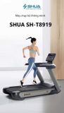 Máy Chạy Bộ SH-T8919