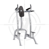 GHẾ BỤNG, TAY SAU ∣ VERTICAL KNEE RAISE/DIP ∣ HOI 077