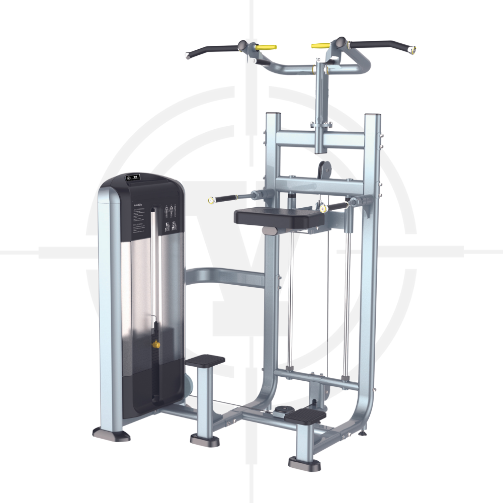 MÁY TẬP LƯNG, TAY SAU︱DIP/CHIN ASSIST︱PRE 007