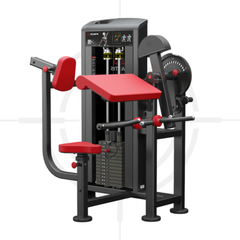 Máy Tay Trước Tay Sau ∣ Biceps-Triceps Combo Machine ∣ Atl 108