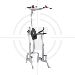 GHẾ BỤNG, TAY SAU ∣ FITNESS TREE ∣ HOI 090